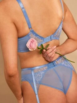 Panache Valentina Luxe Plunge Bra - Denim -FREYA Shop 10726 ls2
