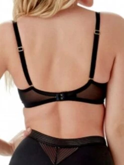 Gossard Sheer Stripe Plunge Bra - Black -FREYA Shop 18825 BLK2