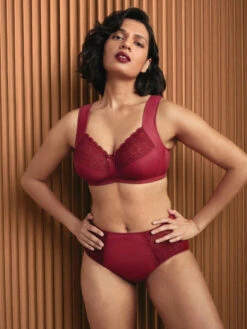 ANITA Havanna Support Bra - Dark Red -FREYA Shop braforme anita havanna 5813 124 4l