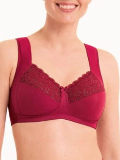 ANITA Havanna Support Bra - Dark Red