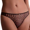 Aubade Crazy In Love Italian Brief -FREYA Shop braforme aubade crazy in love 5D27 SATI f