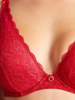 Aubade Rosessence Comfort Triangle Plunge Bra - Gala -FREYA Shop braforme aubade lingerie hk1202 gala c