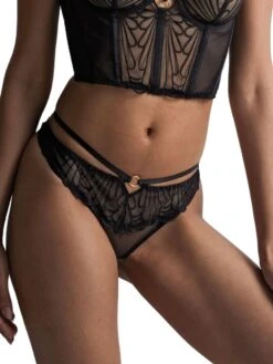 Aubade L'Indomptable Tanga