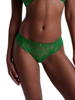 Aubade Losing My Mind Mini Brief