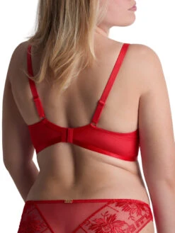 Aubade Rules Of Attraction Triangle Plunge Bra - Flame -FREYA Shop braforme aubade rules of attraction 4BF12 FLAE 3b