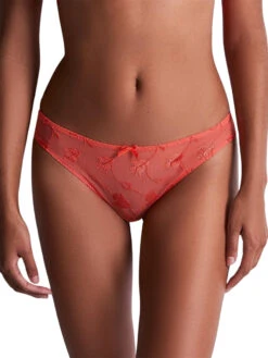 Aubade Softessence Brazilian