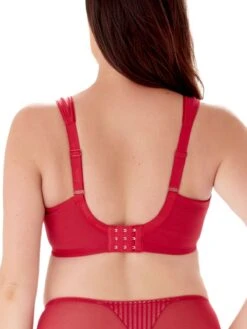 Berlei Beauty Stripe Smoothing Bra - Passion Red -FREYA Shop braforme berlei b541 psn b