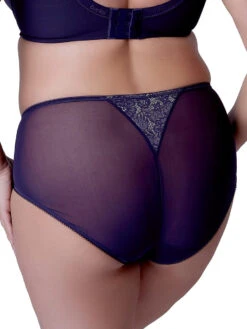 Berlei Beauty Everyday Deep Brief -FREYA Shop braforme berlei beauty everyday B523 AUB b