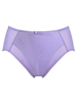 Berlei Beauty Everyday Deep Brief -FREYA Shop braforme berlei beauty everyday B523 VIT c