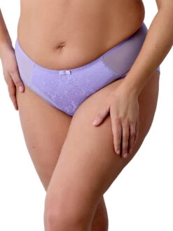 Berlei Beauty Everyday Deep Brief -FREYA Shop braforme berlei beauty everyday B523 VIT s