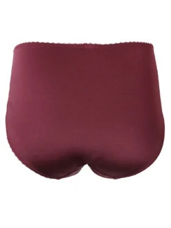 Berlei Embrace Midi Brief -FREYA Shop braforme berlei embrace B534 FIG cb