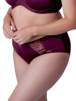 Berlei Embrace Midi Brief -FREYA Shop braforme berlei embrace B534 FIG s