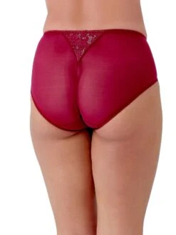 Berlei Beauty Everyday Deep Brief -FREYA Shop braforme berlei lingerie b523 burgundy b
