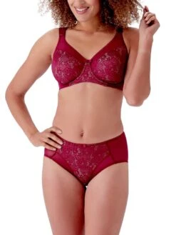 Berlei Beauty Everyday Deep Brief -FREYA Shop braforme berlei lingerie b523 burgundy full