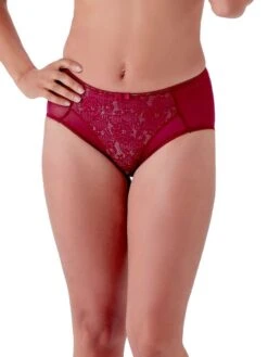 Berlei Beauty Everyday Deep Brief -FREYA Shop braforme berlei lingerie b523 burgundy full 20 2
