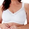 Berlei Beauty Everyday Full Support Bra - White -FREYA Shop braforme berlei lingerie b525 white f