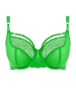 FREYA Temptress Plunge Bra - Poison Green -FREYA Shop braforme bra freya temptress 400102 pog front