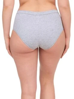 Chantelle Cotton Comfort High Waist Brief 33 Chantelle Cotton Comfort High Waist Brief -FREYA Shop braforme chantelle lingerie bralette c15p70 0fe b