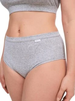 Chantelle Cotton Comfort High Waist Brief 32 Chantelle Cotton Comfort High Waist Brief -FREYA Shop braforme chantelle lingerie bralette c15p70 0fe s