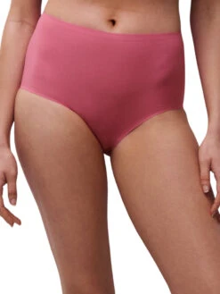 SoftStretch High Waisted Brief -FREYA Shop braforme chantelle softstretch C26470 0O2 f