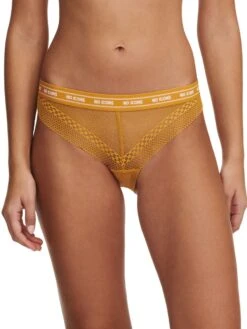 Chantelle No Icons Brief -FREYA Shop braforme chantelle x no icons brief t00c60 034 ginger f