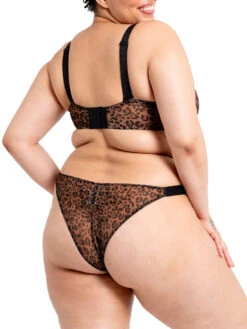 Curvy Kate Cool Cat Tanga -FREYA Shop braforme curvy kate cool cat CK076211 LPB 2b
