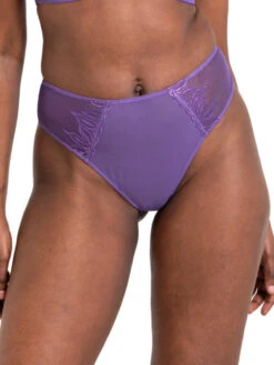 Curvy Kate Flare Deep Thong