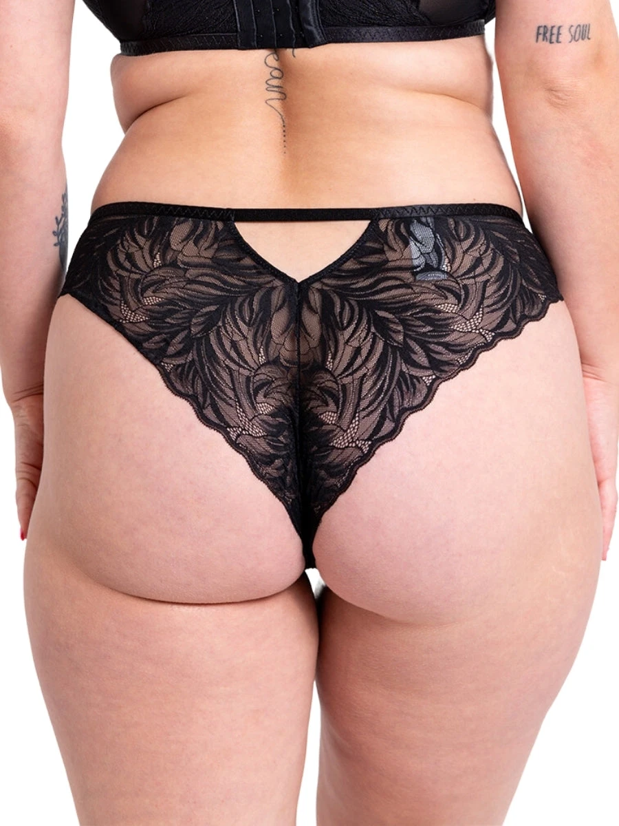 Curvy Kate Lace Daze Brazilian 8 Curvy Kate Lace Daze Brazilian - Image 6