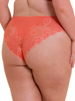 Curvy Kate Lovelace Brazilian -FREYA Shop braforme curvy kate lovelace CK089202 COR b