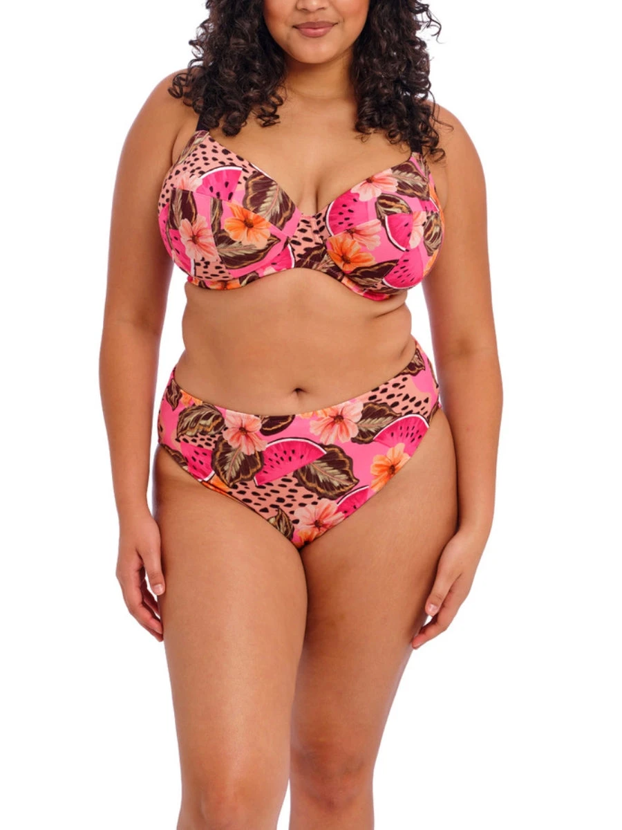 ELOMI Cabana Nights Bikini Brief 6 ELOMI Cabana Nights Bikini Brief - Image 4
