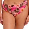 ELOMI Cabana Nights Bikini Brief -FREYA Shop braforme elomi cabana nights ES801672 MUI f