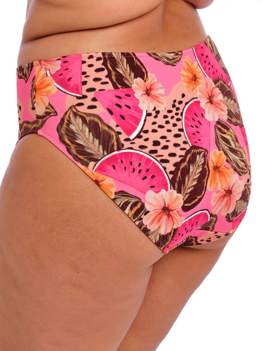 ELOMI Cabana Nights Bikini Brief 5 ELOMI Cabana Nights Bikini Brief - Image 3