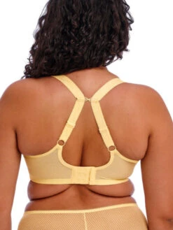 ELOMI Charley Plunge Bra - Lemon Fizz -FREYA Shop braforme elomi charley EL4380 LEZ 2b