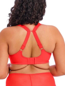 ELOMI Charley Plunge Bra - Salsa -FREYA Shop braforme elomi charley EL4380 SAL 2b