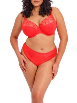 ELOMI Charley Plunge Bra - Salsa -FREYA Shop braforme elomi charley EL4380 SAL 2f