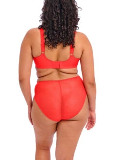 ELOMI Charley Plunge Bra - Salsa -FREYA Shop braforme elomi charley EL4380 SAL 3b