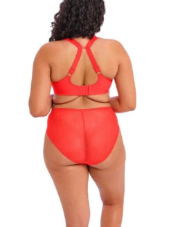 ELOMI Charley Plunge Bra - Salsa -FREYA Shop braforme elomi charley EL4380 SAL 4b