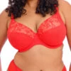 ELOMI Charley Plunge Bra - Salsa