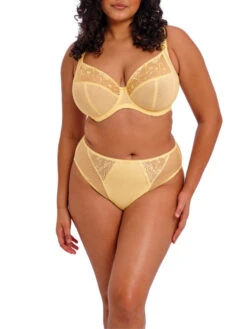 ELOMI Charley High Leg Brief -FREYA Shop braforme elomi charley EL4386 LEZ 2f