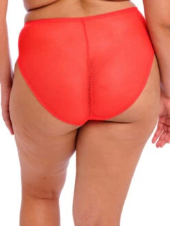ELOMI Charley High Leg Brief -FREYA Shop braforme elomi charley EL4386 SAL b