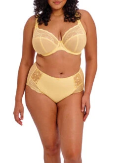 ELOMI Charley Full Brief -FREYA Shop braforme elomi charley EL4388 LEZ 2f
