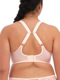 ELOMI Charley Plunge Bra - Ballet Pink 9 ELOMI Charley Plunge Bra - Ballet Pink -FREYA Shop braforme elomi charley bra el4380bak ballet pink b