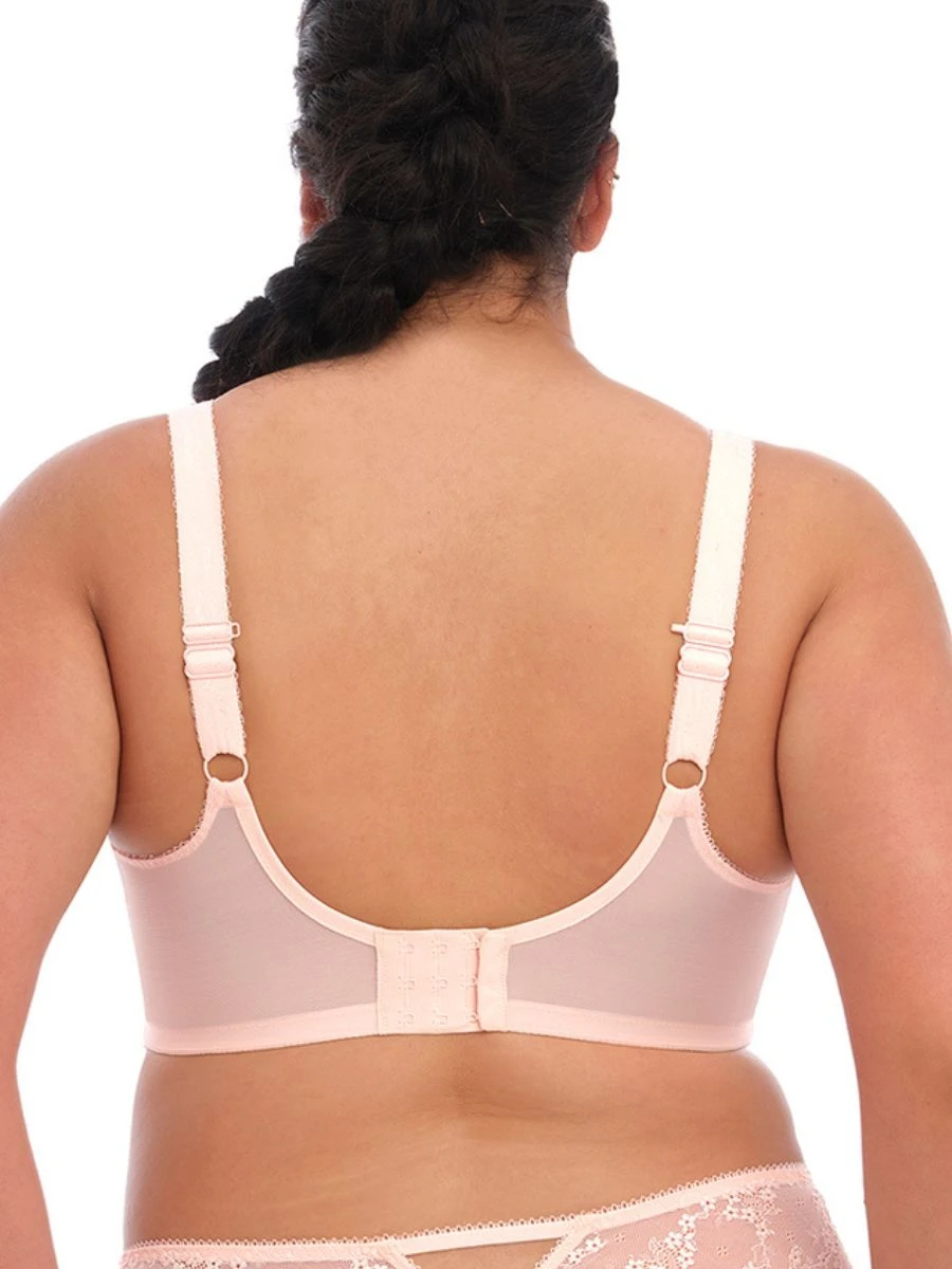 ELOMI Charley Plunge Bra - Ballet Pink 4 ELOMI Charley Plunge Bra - Ballet Pink - Image 2