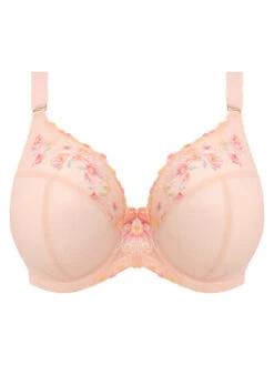 ELOMI Himari Plunge Bra - Peach Whisper 14 ELOMI Himari Plunge Bra - Peach Whisper -FREYA Shop braforme elomi himari EL302102 PEP c