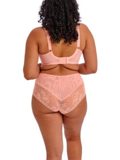 ELOMI Kendra Plunge Bra - Rose Bud -FREYA Shop braforme elomi kendra EL301602 RUD 2b