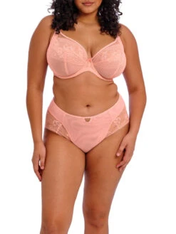 ELOMI Kendra Plunge Bra - Rose Bud -FREYA Shop braforme elomi kendra EL301602 RUD 2f