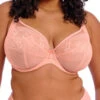 ELOMI Kendra Plunge Bra - Rose Bud -FREYA Shop braforme elomi kendra EL301602 RUD f