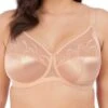 ELOMI Cate Full Cup Bra - Latte -FREYA Shop braforme elomi lingerie cate bra 4030 lae f