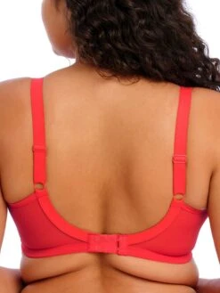 ELOMI Kendra Plunge Bra - Cherry -FREYA Shop braforme elomi lingerie kendra cherry red el301602 b