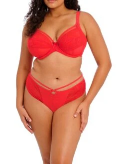 ELOMI Kendra Thong -FREYA Shop braforme elomi lingerie kendra cherry red el301602 el301670 full